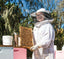 Nov. Newsletter: Venice Surprise & Marshmallow Honey, LWR Farmers Market Move, How Bees Came to USA