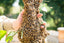 March Newsletter: Swarm Season, Honey Questions to Ask, Some Like it Hot, Honey...We have too...