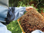 March Newsletter: Update on our hives that were vandalize, What is a NUC? Top Easter Basket Ideas.