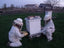 February Newsletter: Honeybee Update, Buyer Bee-ware