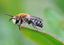 Mid October Update: Special Event for Kids, Our Honey Tours, A Honey First!