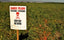 Recovery from Pesticide Exposure – University of Georgia