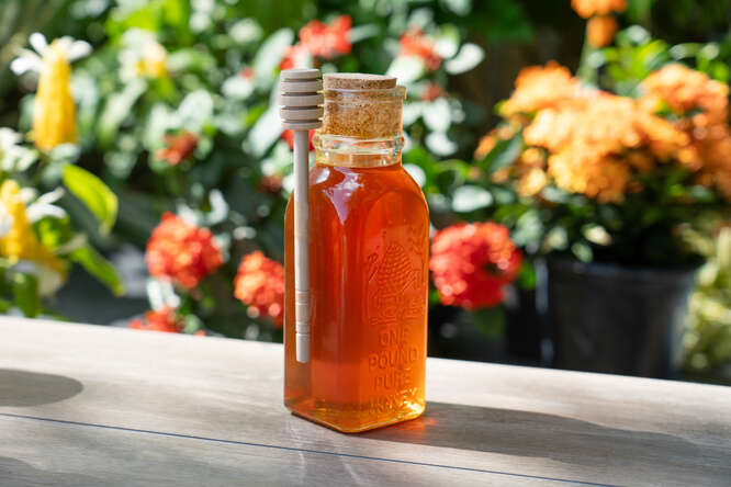 Sarasota Honey Company photo 3