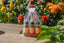 Sampler Honey 3pk