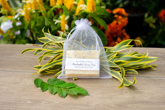 Sarasota Honey Company photo 11