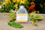 Siesta Sunset Soap