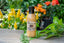 Roasted Garlic & Parmesan Dressing