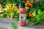 Cherry Poppyseed Dressing