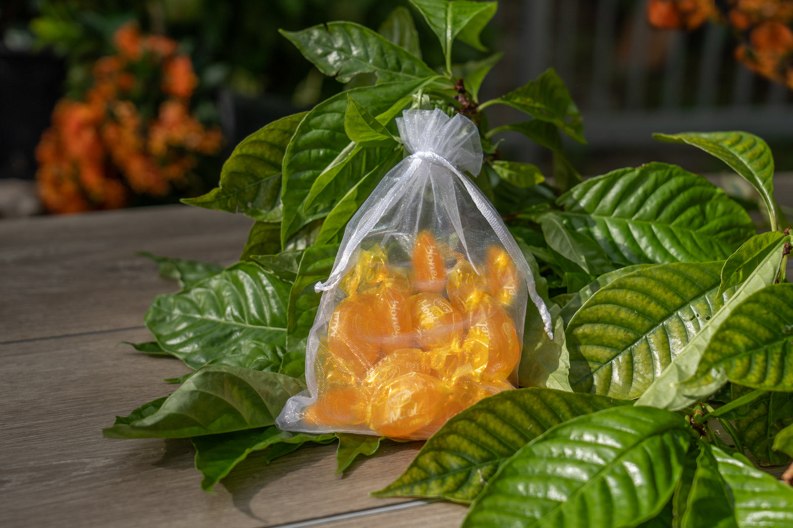 Sarasota Honey Company photo 4