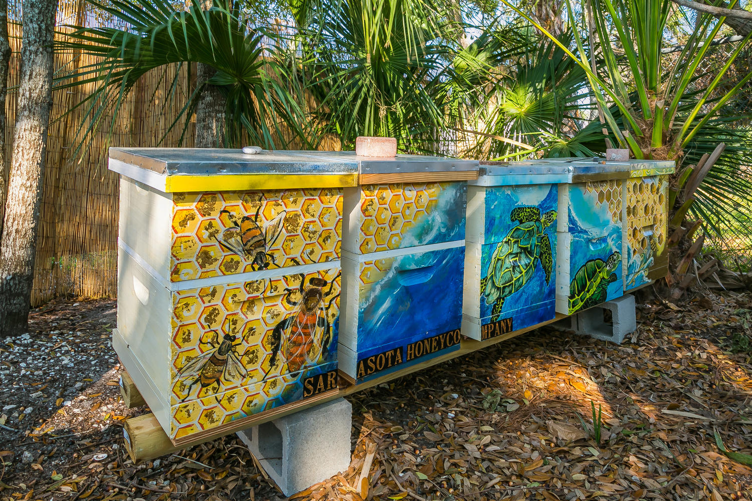 Sarasota Honey Company photo 16
